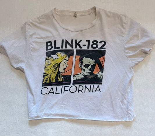 Blink 182 Early 2000's s/m